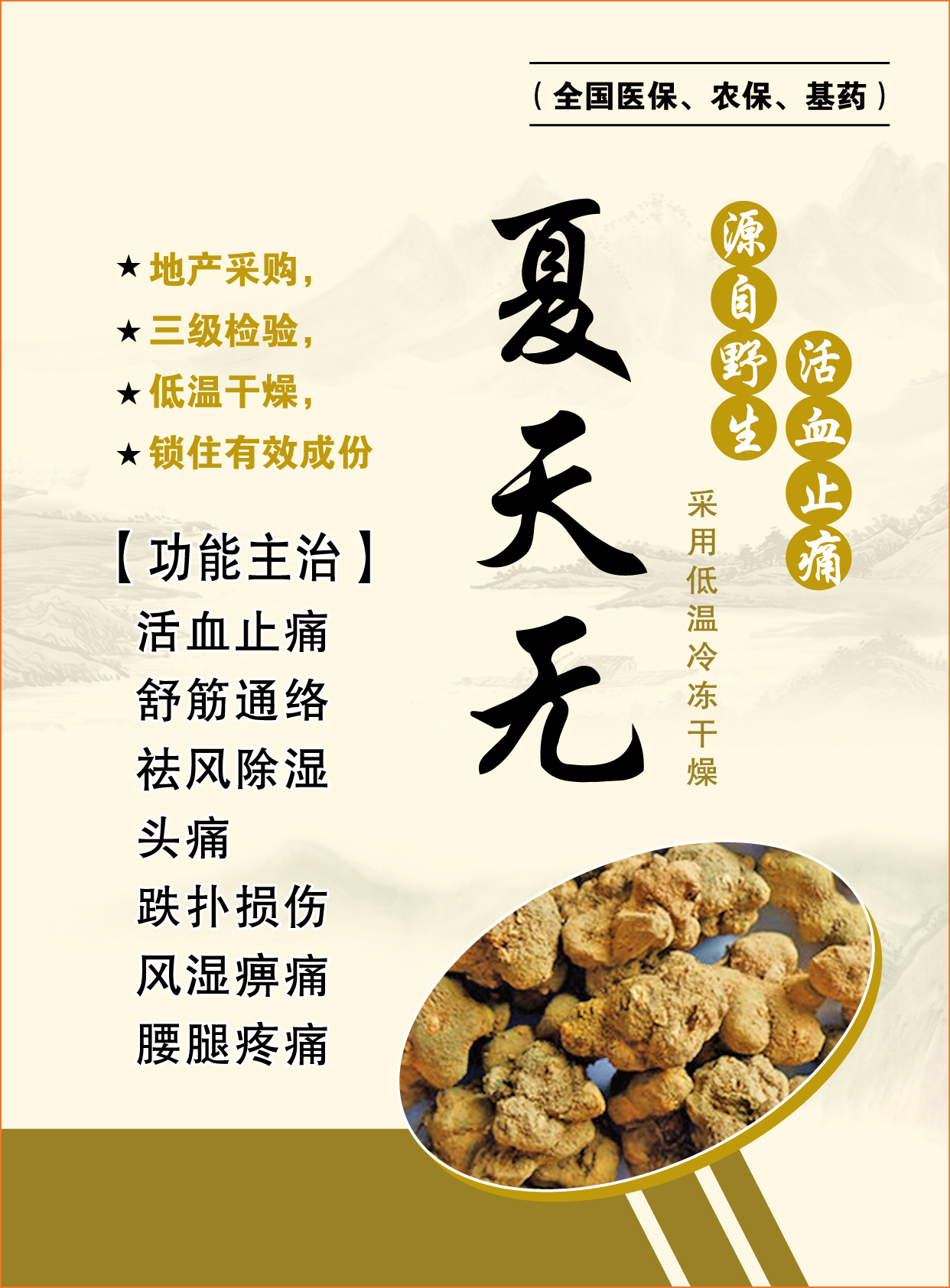 夏天无_养生系列_产品中心_亳州饮片厂,亳州中药饮片厂,安徽新兴中